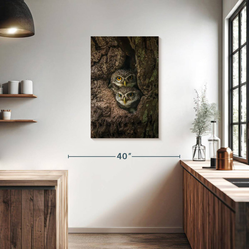 Brampt Twin Baby Owls, 36" H x 24" W