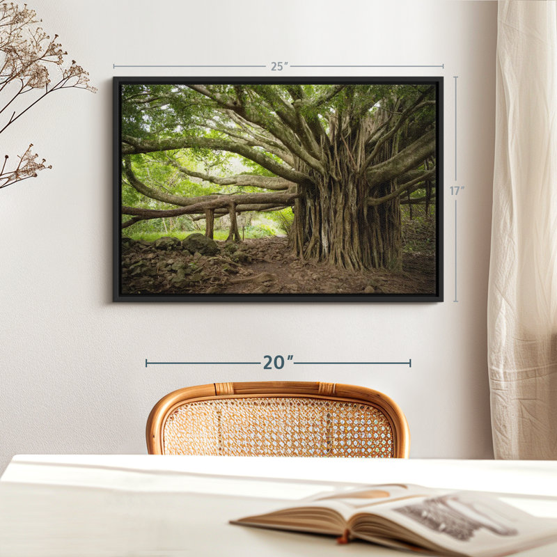 Banyan Tree Canvas Print, 17" H x 25" W