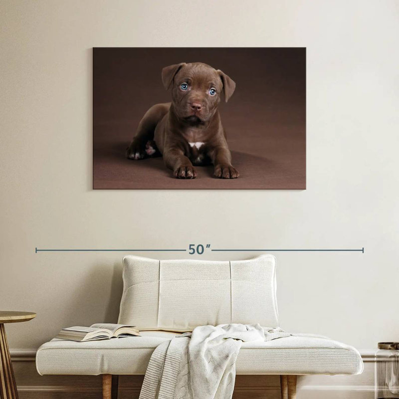 Brampt Pit Bull Puppy, 26" H x 39" W