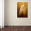 «Elegance in Gold» de Vidur, impression sur toile tendue-22066563