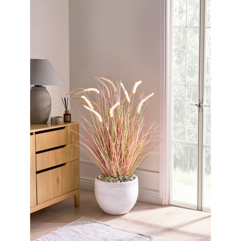 Annleigh Arrangement in Pot