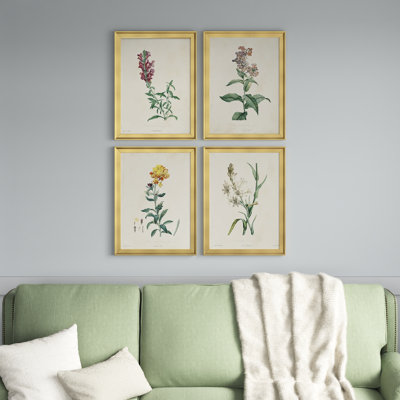 " Traditional Botanical I " 4 - Pieces Painting Print
