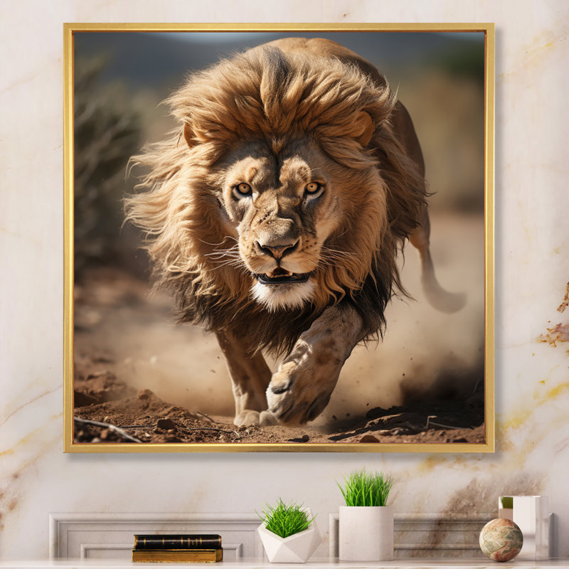 Lion africain qui court - Lion, art mural, Cadre doré simple, H 30 po x l 30 po x P 1 po