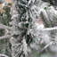 Arbre de Noël artificiel enneigé 7 pi avec des pointes réalistes blanches - Support en métal robuste et étapes d'assemblage sans effort pour une installation rapide à la maison
