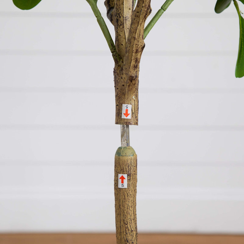 7 pi Ficus Audrey artificiel, H 60 po x l 24 po x P 6 po
