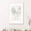 "Rooster sketch I" par Ethan Harper, reproduction d’art-53996048-53996051-53996072