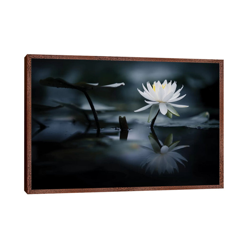 Reflection by Takashi Suzuki - Print on Canvas, Classic Brown Wood Framed, 66.04 cm H x 45.72 cm W