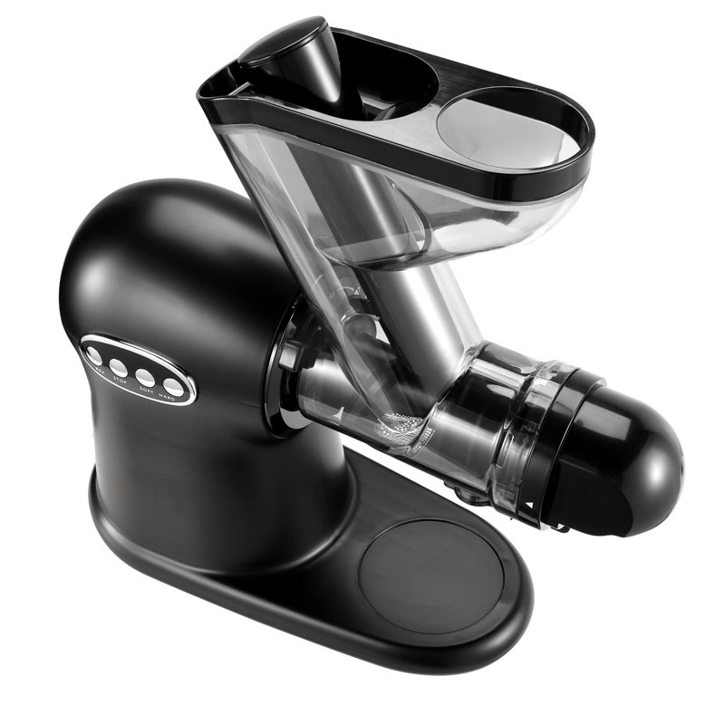 Slow Masticating Juicer, 2-Speed Mode Cold Press Juicer Machine with Reverse Function, Quiet Motor Slow Juicer, Juice Extractor Maker Easy to Clean with Brush