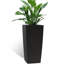 Jardinière moderne noire de 30 pouces avec arrosage automatique pour arrosage automatique en polypropylène Home Grace
