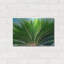 «Tropical III» par Dennis Frates-1395415184