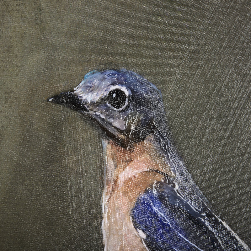Graceful Poise II (Eastern Bluebird), 40" H x 30" W x 1.5" D