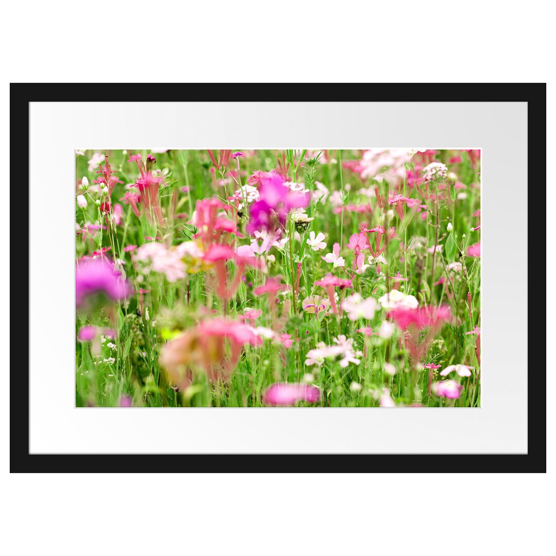 Gerahmtes Poster Wundervolle Blumenwiese