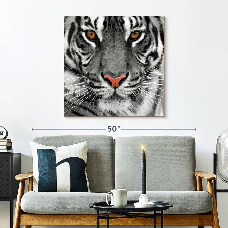Brampt Staring Tiger