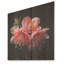 Fuchsia rose et noire - Fuchsia sur bois-490983123