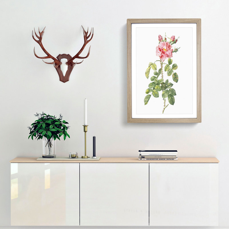 Four-Seasons Roses in Pink by Pierre-Joseph Redoute - Framed Print, 36cm H x 27cm W x 2cm D, Oak Framed