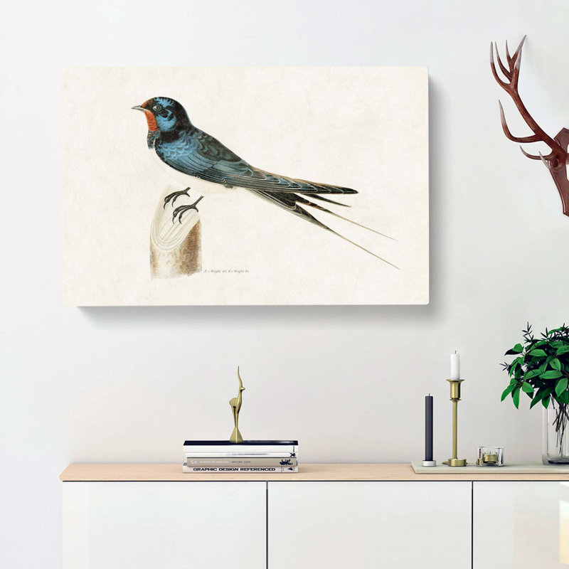 Male Barn Swallow by Von Wright - Wrapped Canvas Print, 35cm H x 50cm W x 3cm D