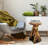 Natural Tree Stump End Table