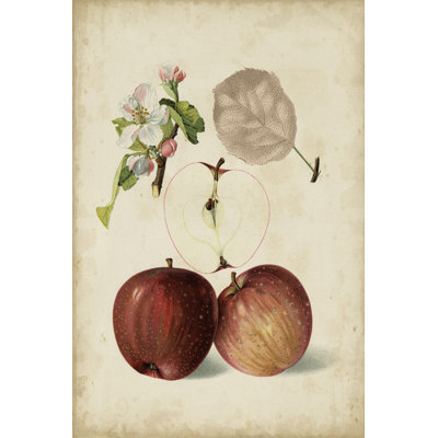 «Harvest Apples I», peinture sur toile