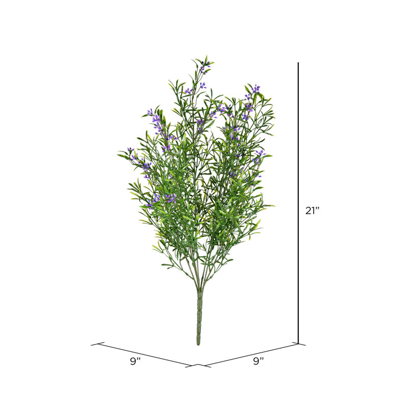 Buisson