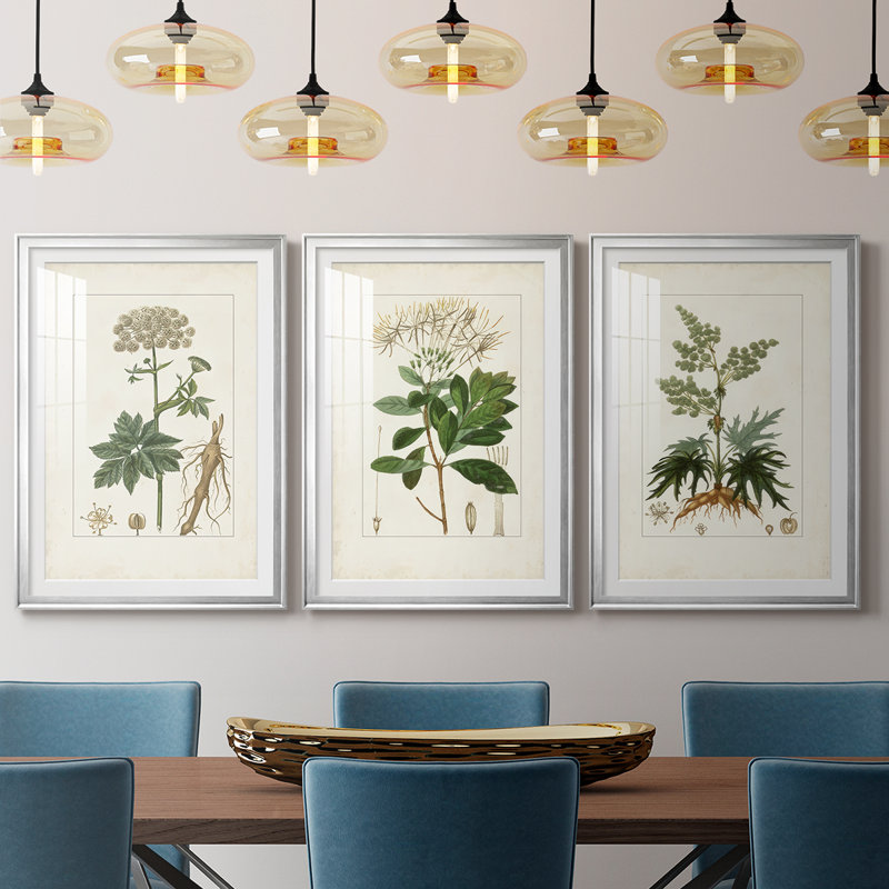 Antique Turpin Botanical I - reproduction sur mesure encadrée de qualité supérieure - 3 pièces, H 19 po x l 27 po