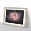 Pink Tipped Rose Flower - Picture Frame Graphic Art Print-56861648-56861649