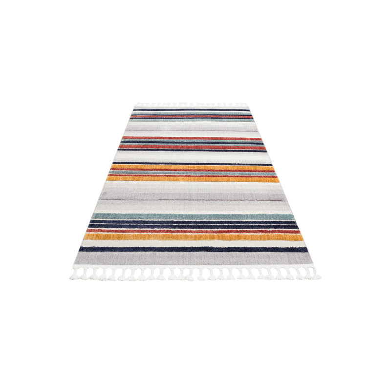 Stylish Machine Woven Area Rug, 4.0 x 5.9 Feet, 100% Polyester, No Pile, 2.5 lbs/sq ft | Durable & Easy to Clean, Perfect for Living Rooms & Bedrooms | Vacuum & Spot Clean Safe, Soft Texture