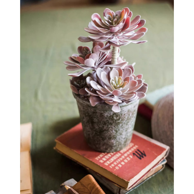 Simulé plante grasse plante cadeau de décoration de table
