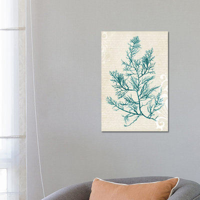 Teal Seaweed I by Grace Popp - Wrapped Canvas Gallery-Wrapped Canvas Giclée