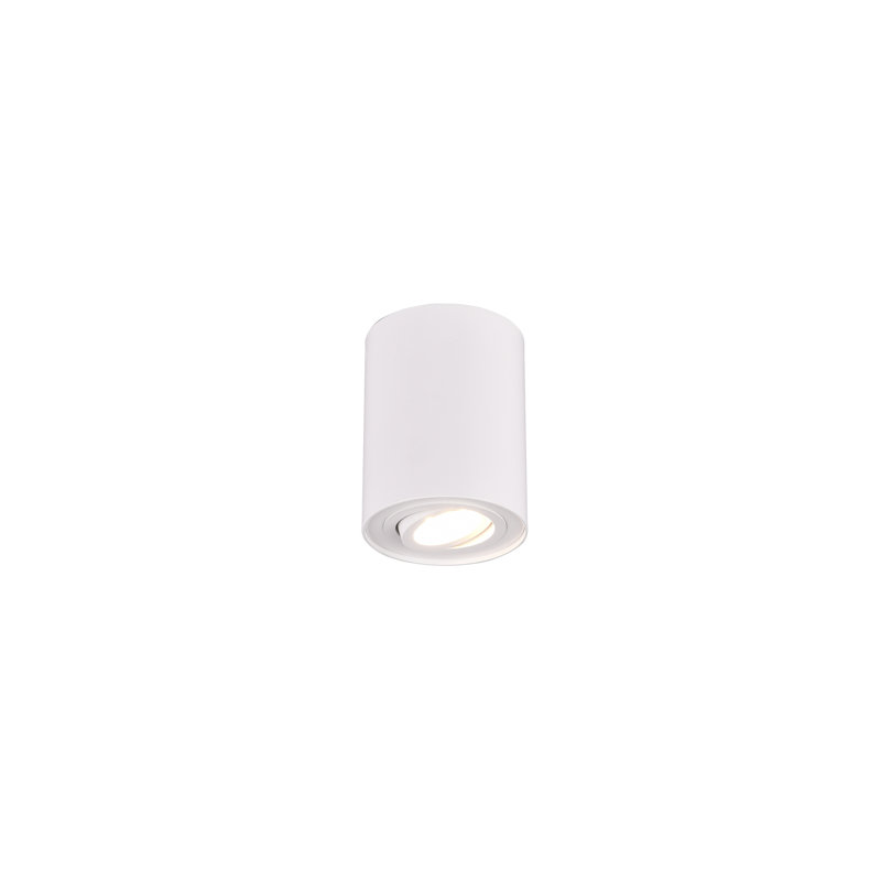 Dewitt LED Flush Mount, Matte White