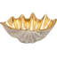 Deco Bowl Noble Shell