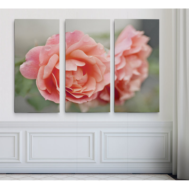 " Cottage Climber " 3 - Pieces, 40" H x 60" W x 1.5" D
