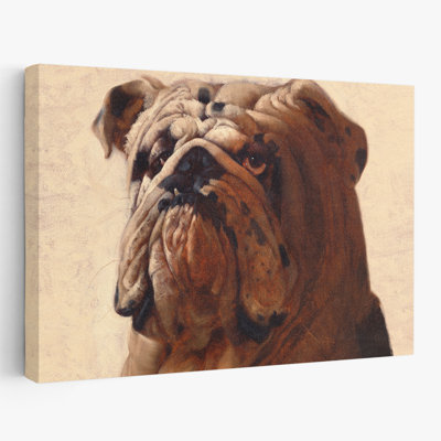 Bulldog - Animals Novelty Dogs Art