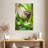 Brampt Baby Three-Toed Sloth-108354148