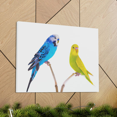 Budgie Couple Budgie Troop Print Animal Wall Art