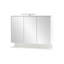 Mirror Cabinet with Lighting-66190695
