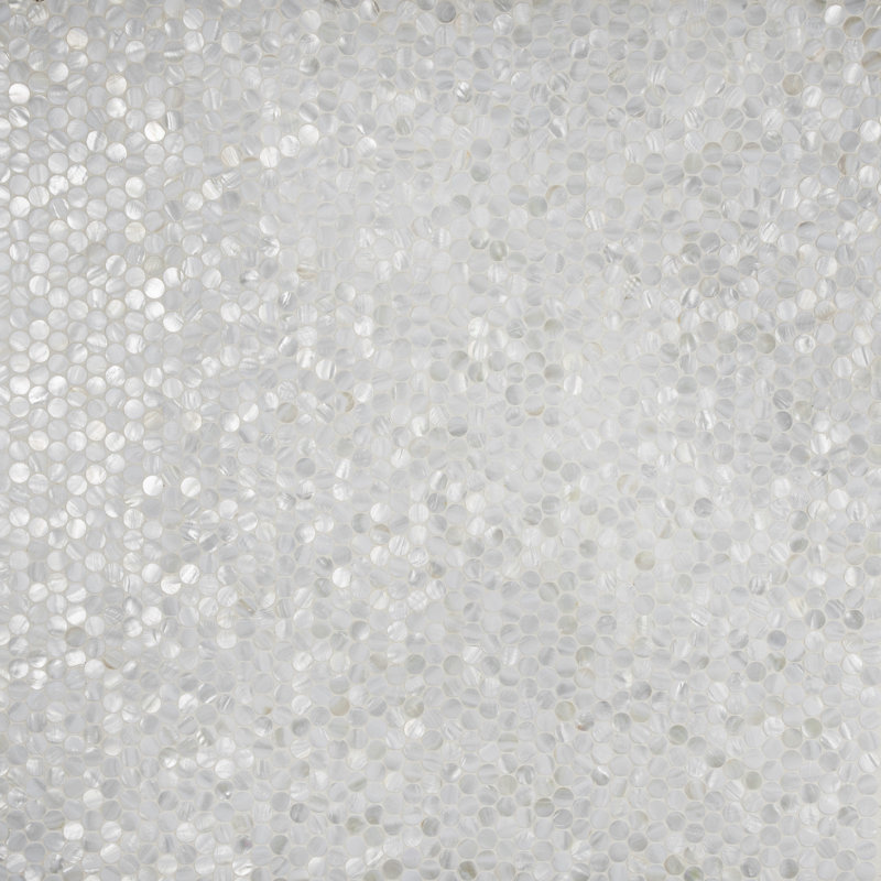 Conchella Mini Penny White 11-1/2" x 11-5/8" Natural Shell Mosaic Wall Tile