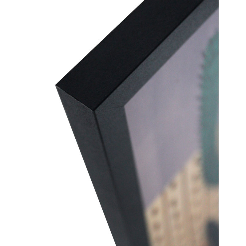 6 Piece Single Picture Frame Set on Canvas