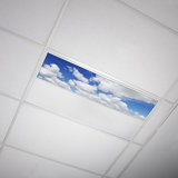 Cloud Rectangle Fixture Component Ceiling Light