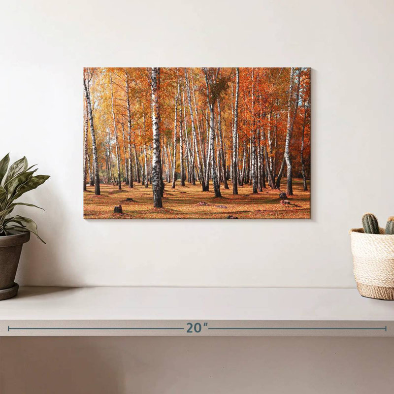 Alvord Birch Tree Forest In Fall, 8" H x 12" W