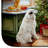 Christmas Cookies Drying Mat