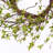 26" Handmade Spring Branch Wreath