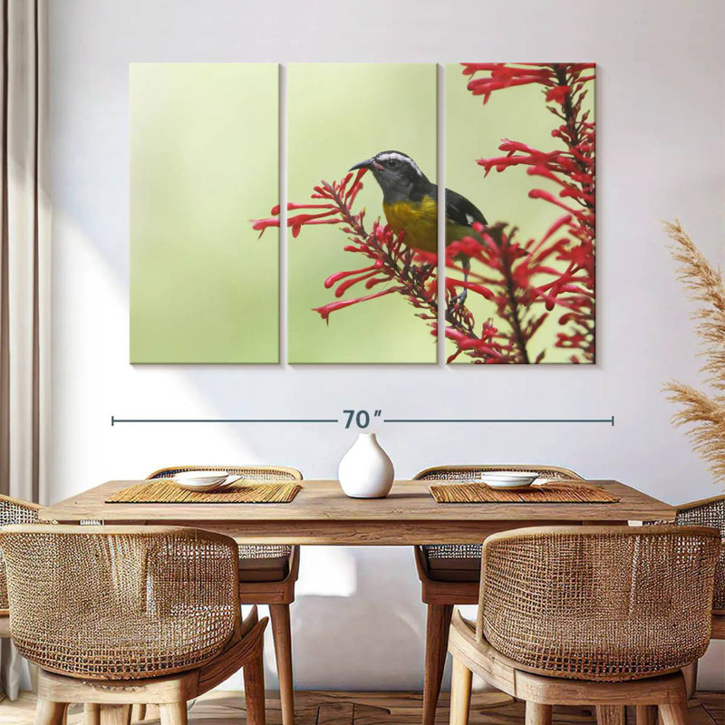 Brampt Feeding Bananaquit Bird, 42" H x 65" W