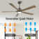 Bascio 5 - Blade LED Standard Ceiling Fan with Remote Control and Light Kit Included