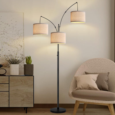Derlin 80'' Traditional Floor Lamp