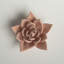 Plante grasse rose en céramique Kallas