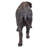 Large Size Bison