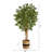 72'' Faux Maple Tree in Burlap, Cotton Planter