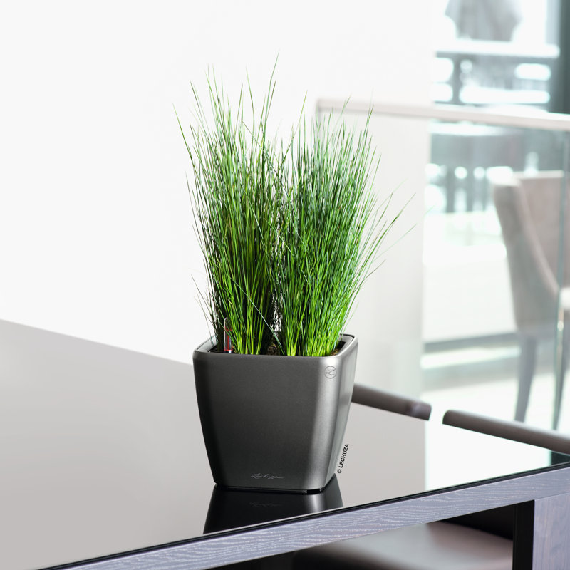 Quadro Premium Pot Planter, Taupe, 20cm H x 21cm W x 21cm D