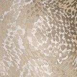 Flirty Fabric