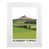 White Wood Frame